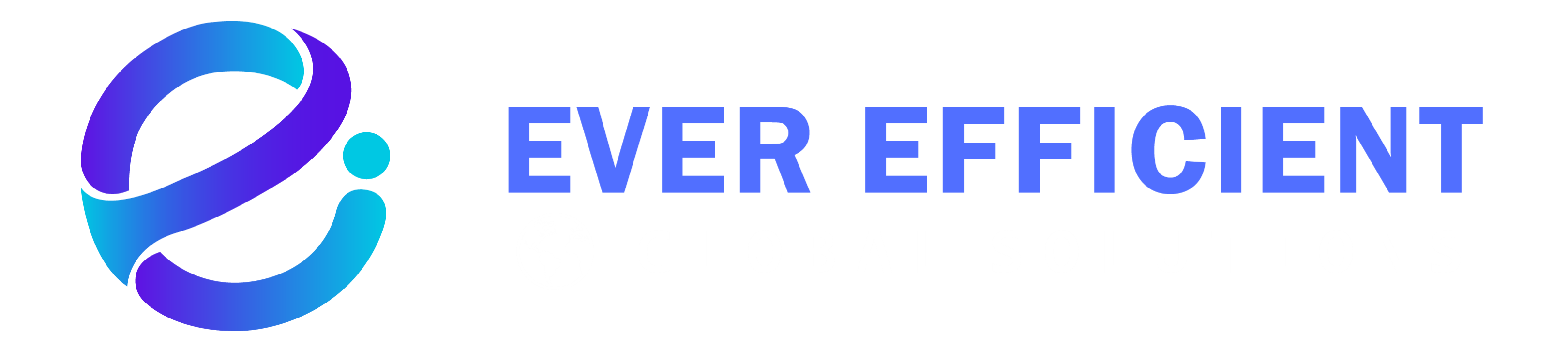 EVER EFFICIENT LOGO